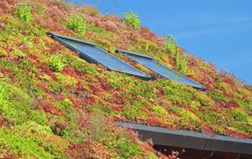 Crockleford Heath living roof systems